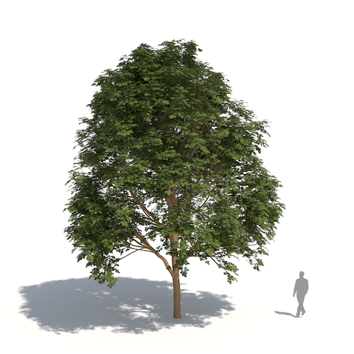 Laubwerk Plants Kit 1 15 3d Tools Dot Info