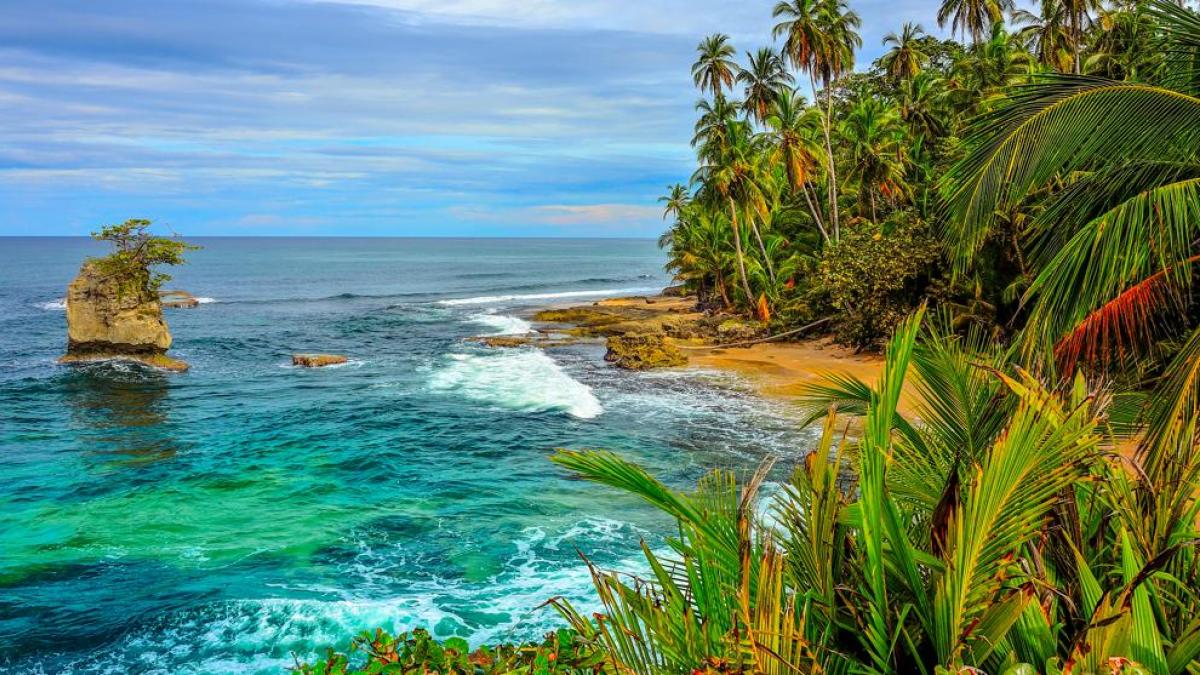 pura vida puerto rico