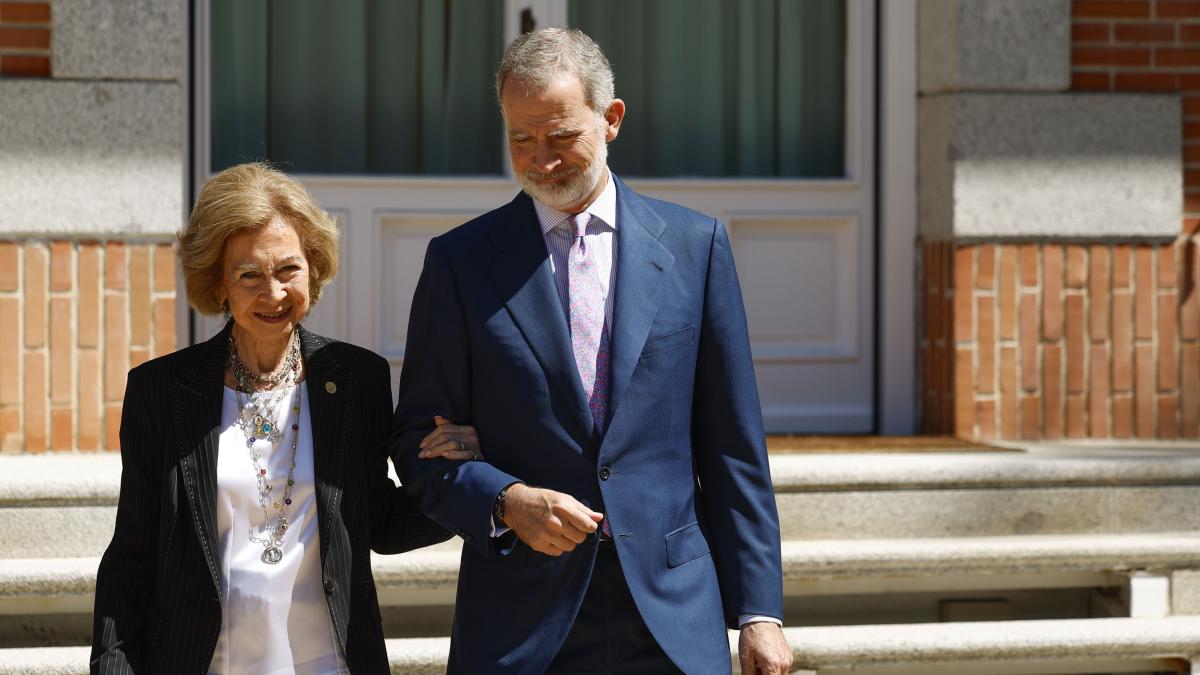 La felicidad de la reina Sofía al compartir una audiencia con el Rey La felicidad de la reina Sofía al compartir una audiencia con el Rey