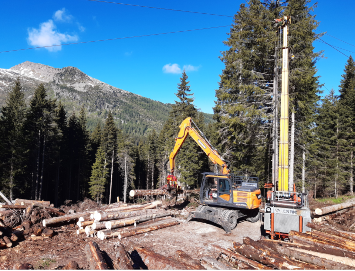 Lavori Boschivi Post Vaia: Bando Provincia Per Acquisto Attrezzature Forestali Entro 31 Maggio – Lavocedelnordest 892_x_1170_png