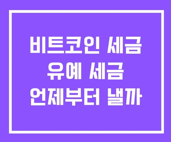 비트코인 세금 유예 세금 언제부터 낼까