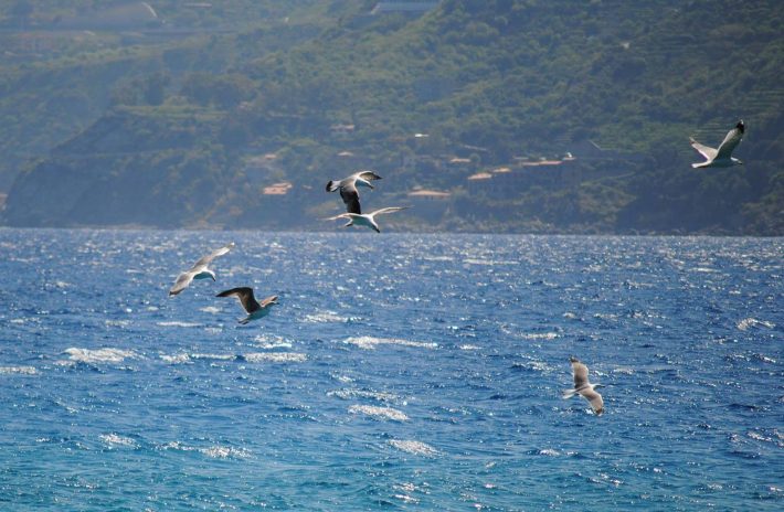 Messina, Via Libera Alla Riqualificazione Edilizia Grazie Allo Studio Ambientale Della Regione | L'eco Del Sud 464_x_710_jpg