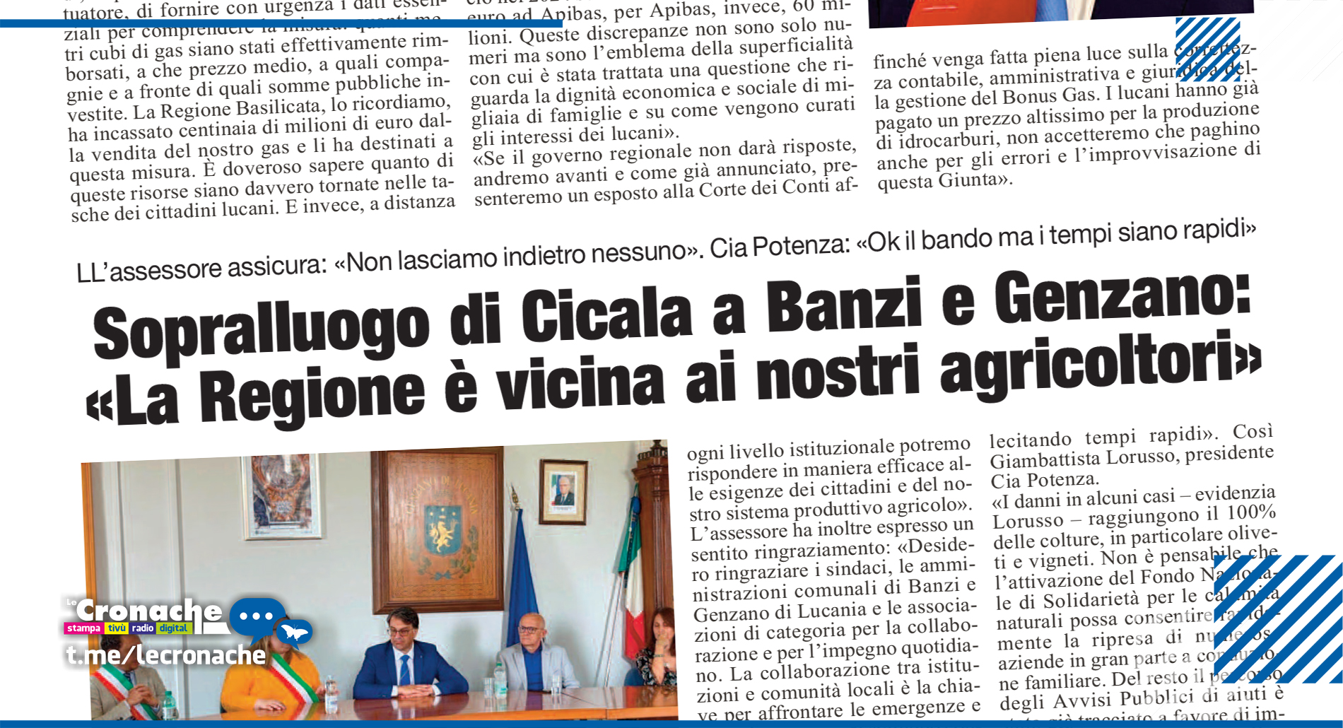 CICALA A BANZI E GENZANO