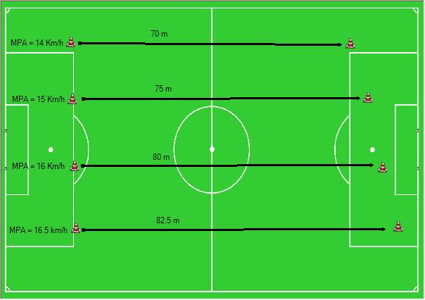 L'allenamento Intermittente (Aspetti Teorici) | Mistermanager 426_x_604_jpg