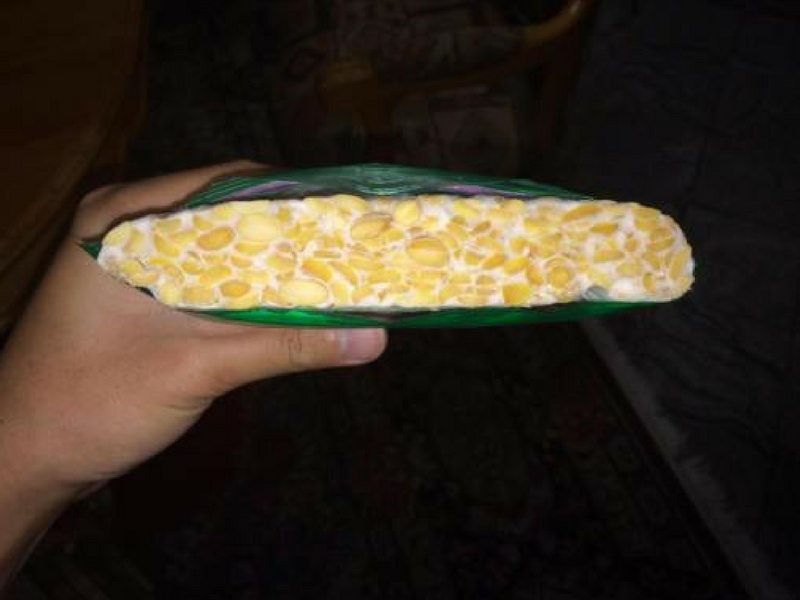 Homemade Tempe Di Rumah Tanpa Ragi Tapai Mudah dah Senang – My Info Maya