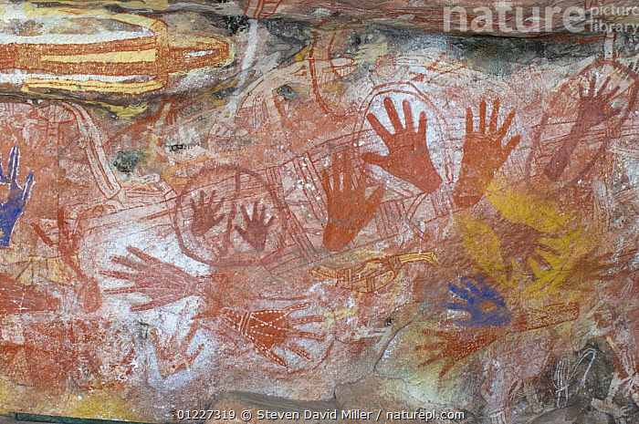 Nature Picture Library Aboriginal Rock Art Paintings Of Hands And Creatures At Main Art Site Mt Borradaile Arnhem Land Northern Territory Australia Steven David Miller