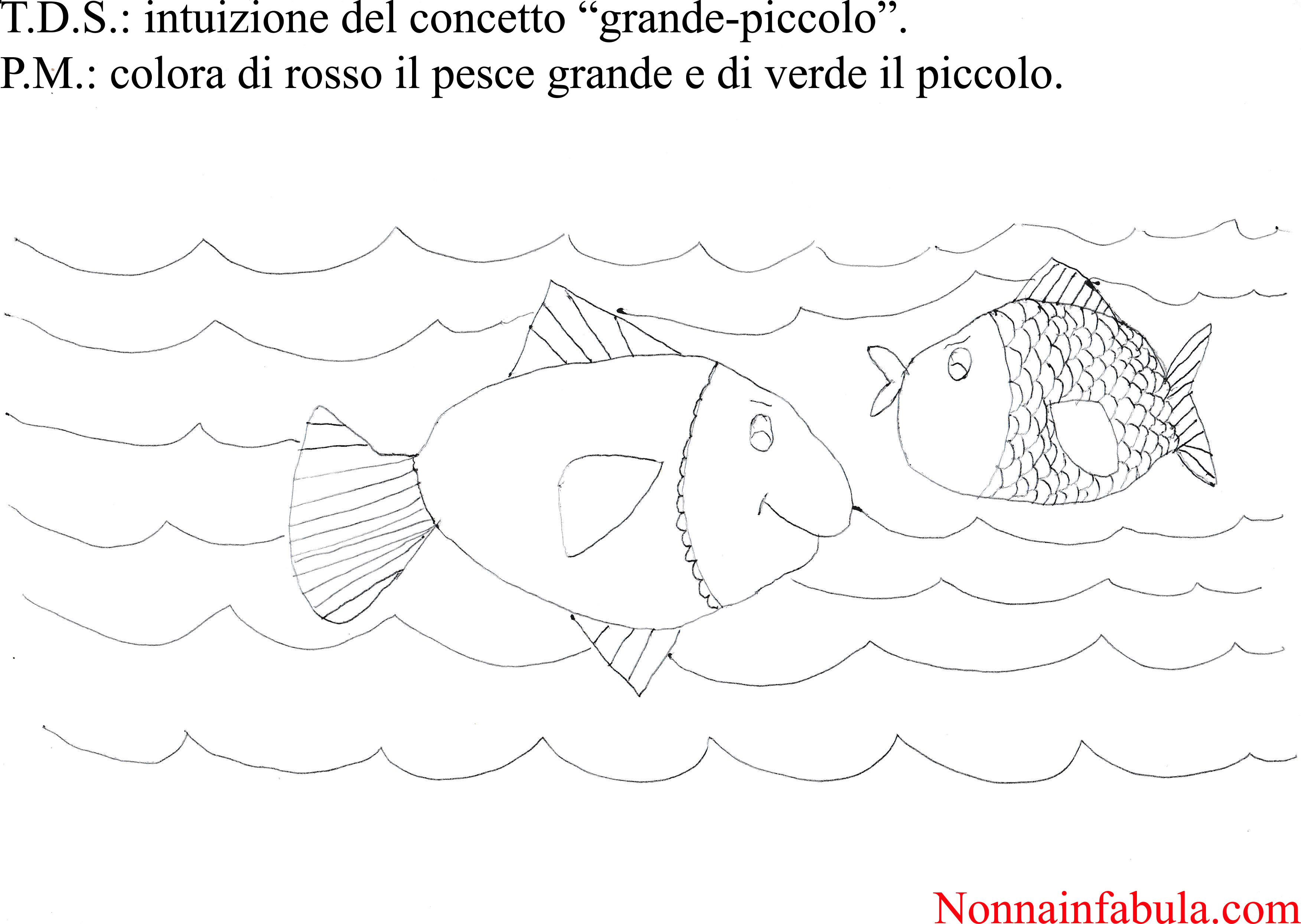 Progetto L'ambiente Marino Per Bambini Di 3-4 Anni (Rivolto Agli Insegnanti) | Nonna In Fabula 2488_x_3504_jpg