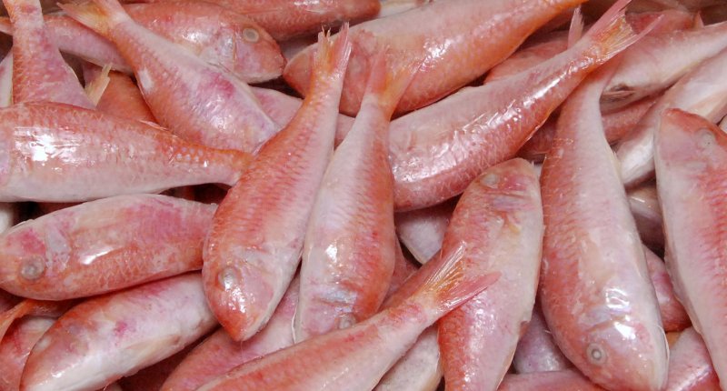 STOK IKAN NAIK, HARGA KIAN MENURUN – Berita Rembang