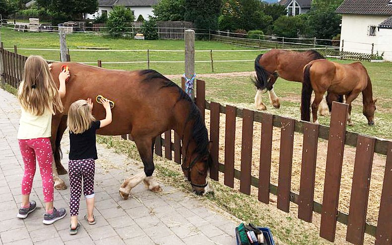 Diese 7 Tugenden Machen Kinder Zu Echten Helden
