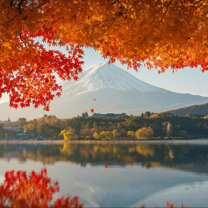 List 32+ Wallpapers best animated wallpapers for pc Full HD, 2k, 4k