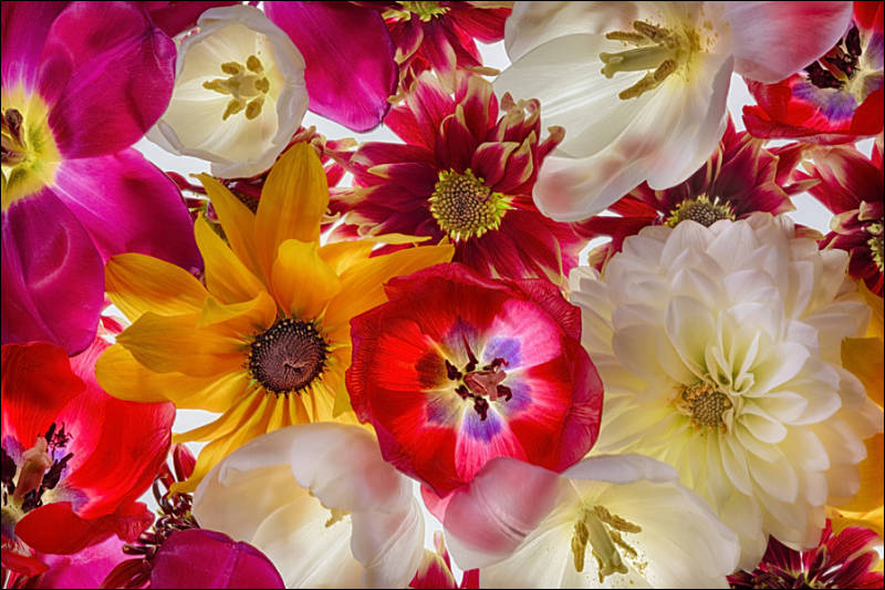 Zeiss Milvus Lenses Personal View Talks