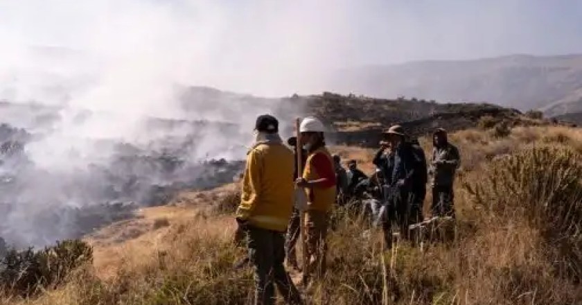 Buenas noticias: controlan el incendio que amenazaba la reserva de Cotahuasi en Arequipa