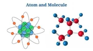 13 Difference Between Atom And Molecule With Examples Phd Nest
