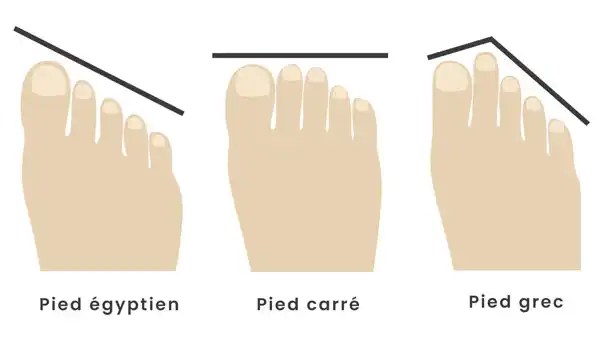 Type de pied : les différences de morphologie | Podexpert