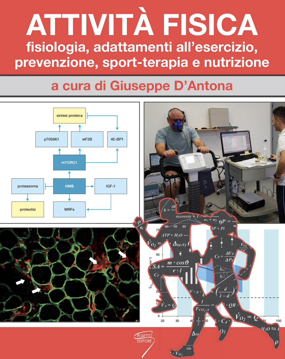 Attività Fisica: Fisiologia, Adattamenti All'esercizio, Prevenzione, Sport-Terapia E Nutrizione - Poletto Editore - Casa Editrice - Milano 1260_x_1000_jpg