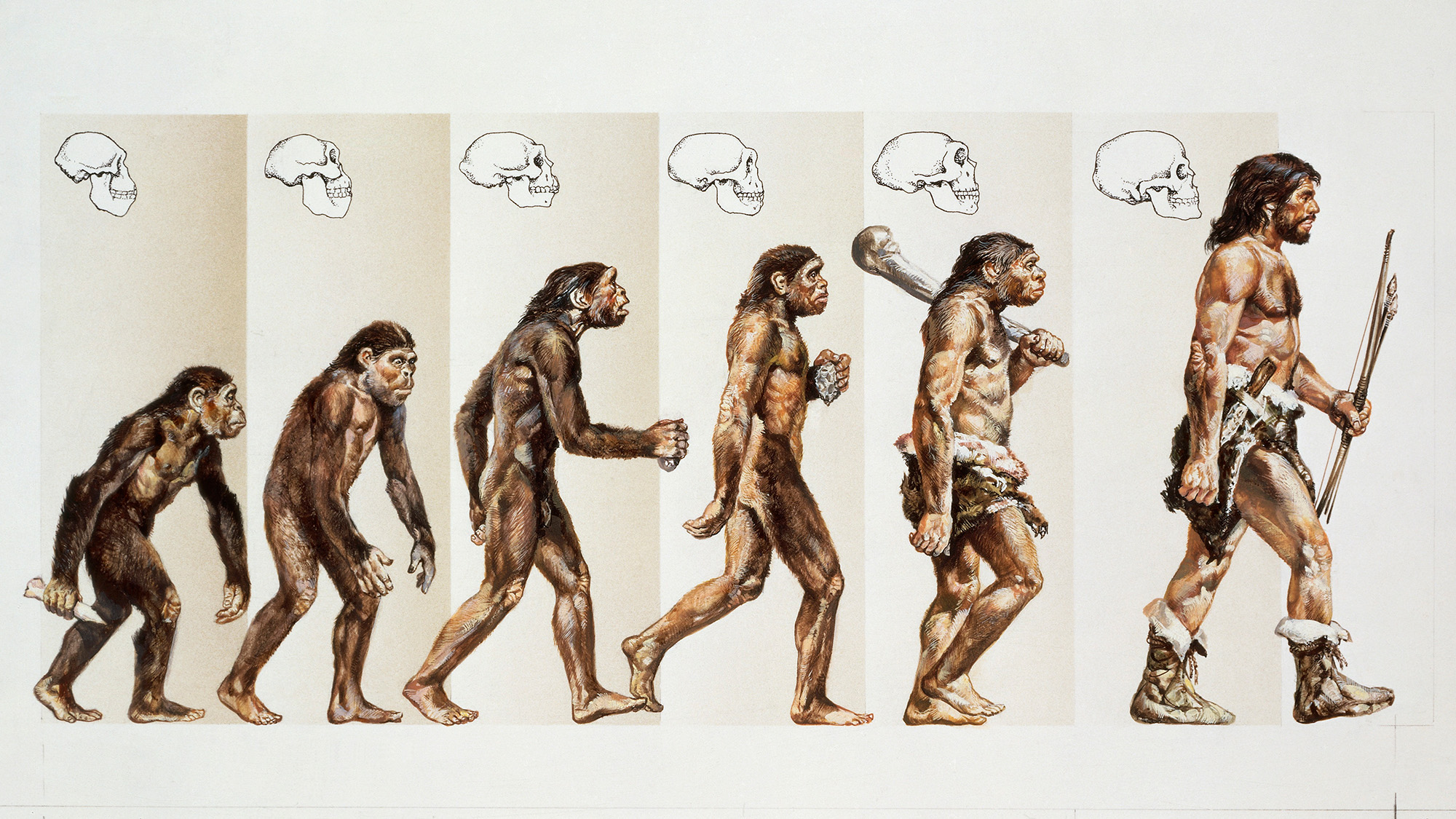 Humans were never built for tails. Here’s why.