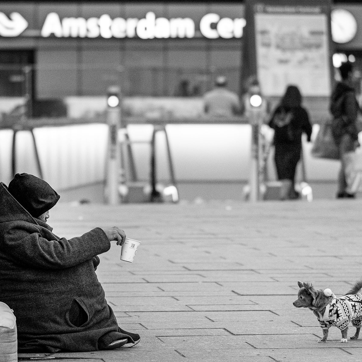 Kunstfotograaf Jesse Faber Exposeert Finance In Amsterdam Poundwise Financial Coaching