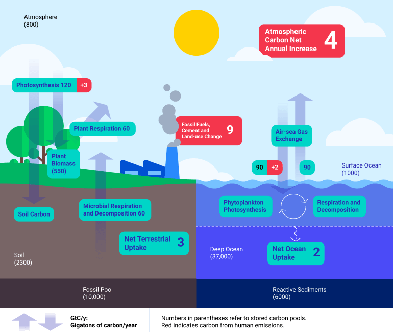 Implémentation de la génération augmentée de récupération (RAG) avec la sortie JSON