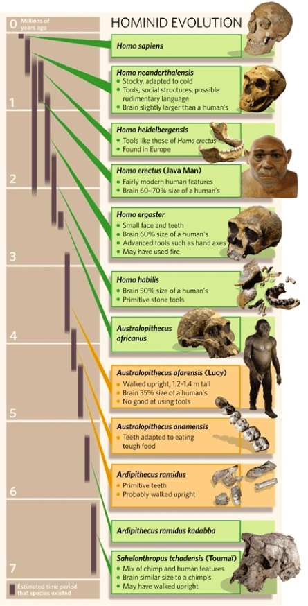 Is Intelligent Design Viable The Craig Ayala Debate Reasonable Faith