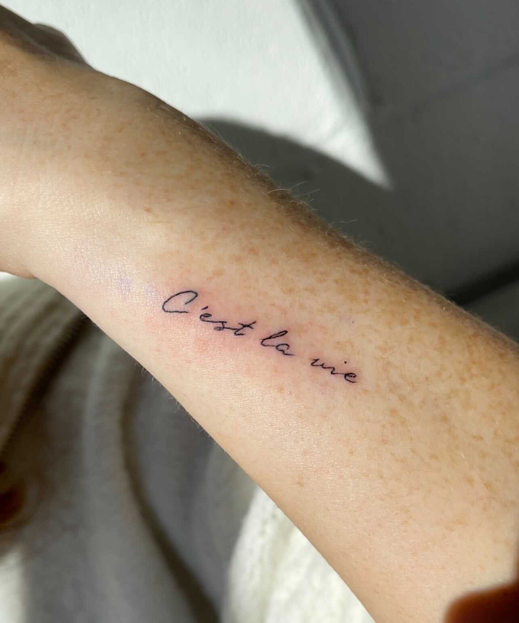 Ephemeral Tattoo That Fades In A Year: Full Review Nyc 2400_x_2000_jpg