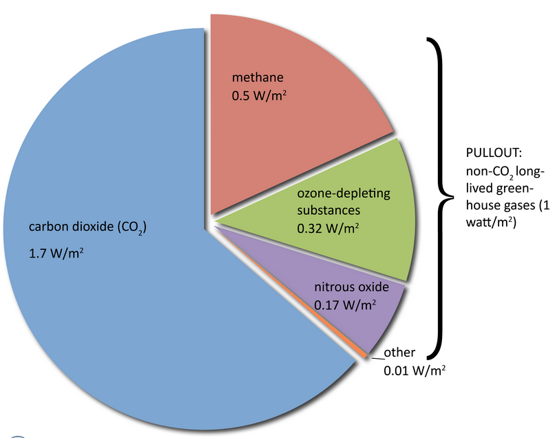 Co2 (Anidride Carbonica, Biossido Di Carbonio) - Rete Clima 636_x_806_png