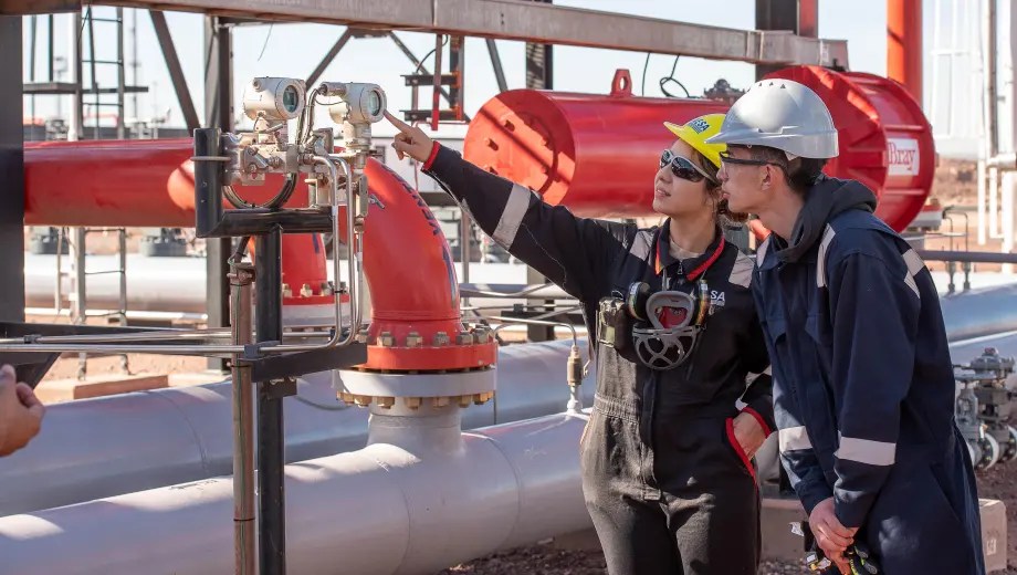 Últimos días para inscribirse en el Instituto Vaca Muerta