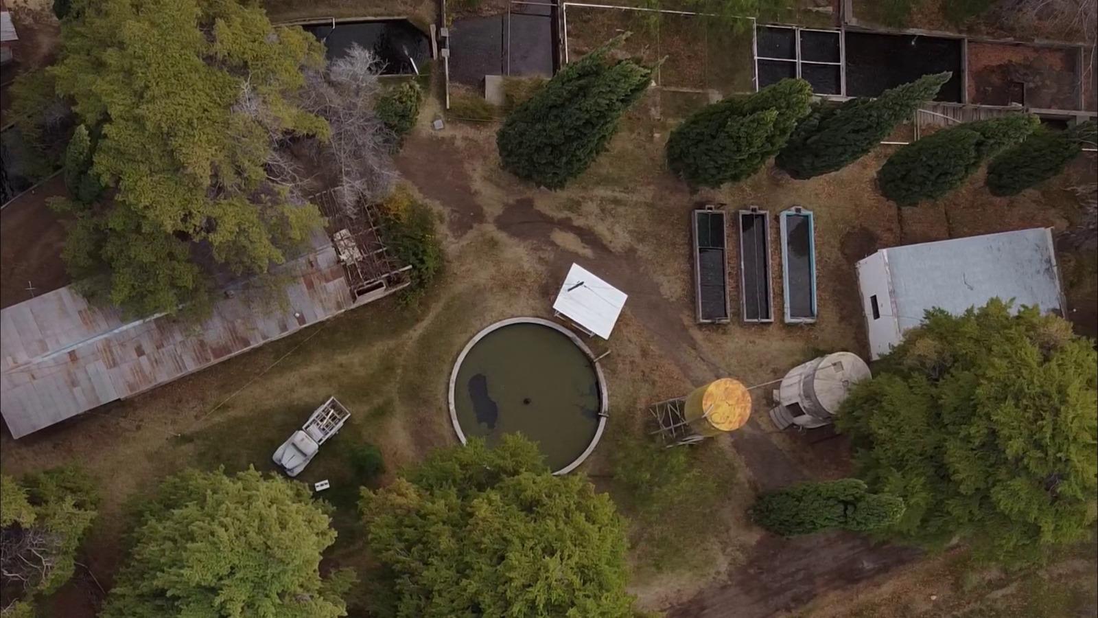 La Piscicultura de Plottier: agua, memoria y futuro en los 91 años de la ciudad