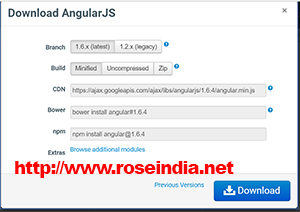 Download and Install AngularJS