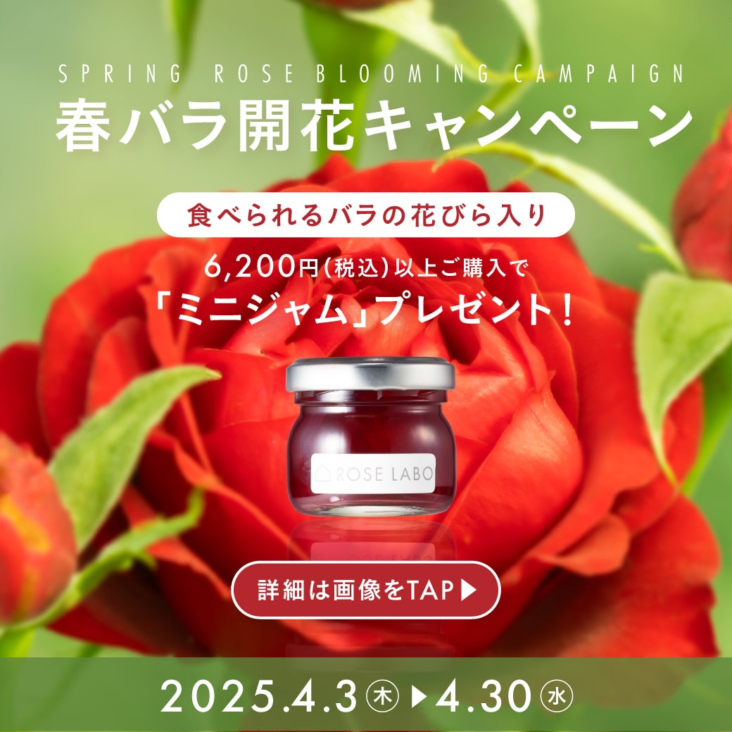 ミニジャムプレゼント🎁春バラ開花記念キャンペーン