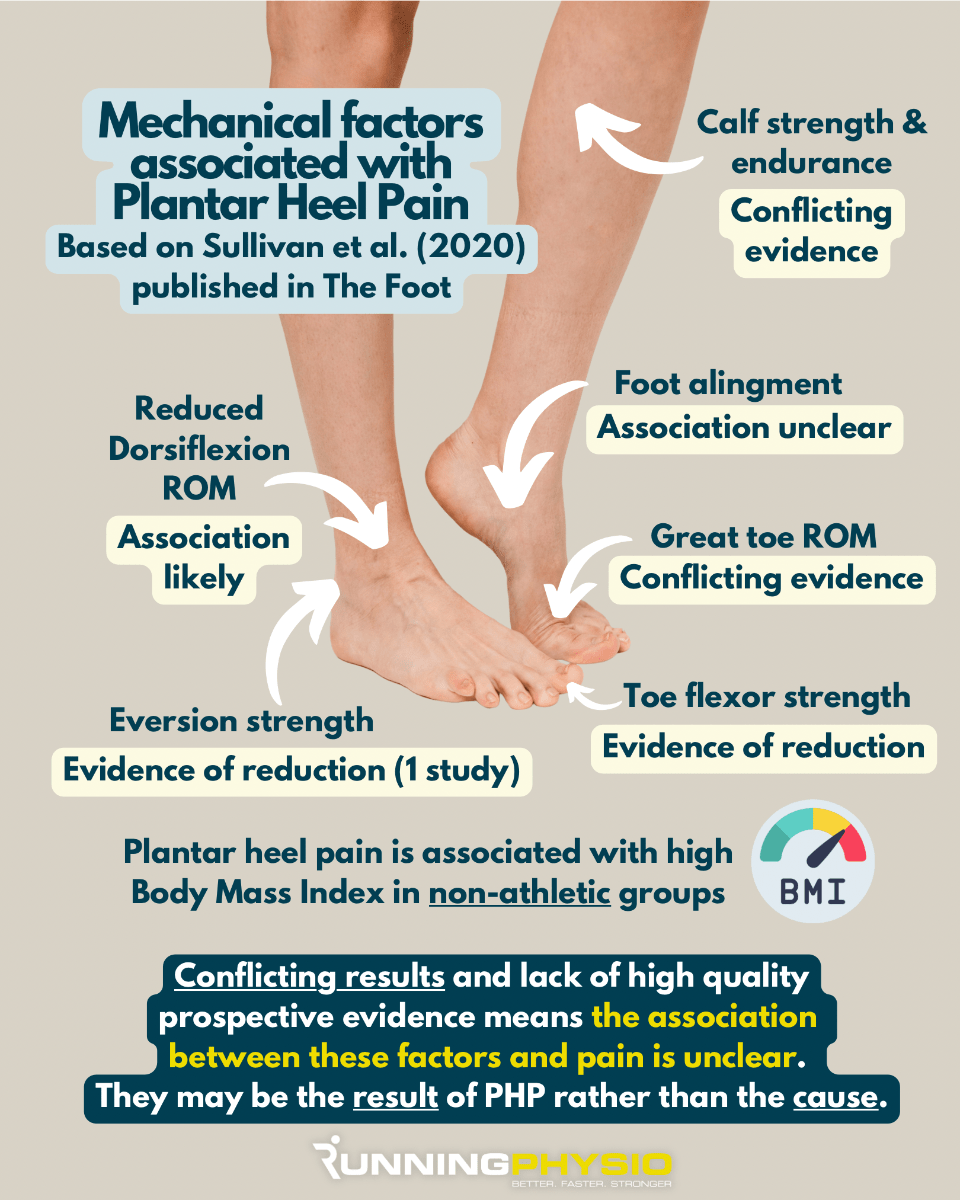 Mechanical Elements in Plantar Heel Ache