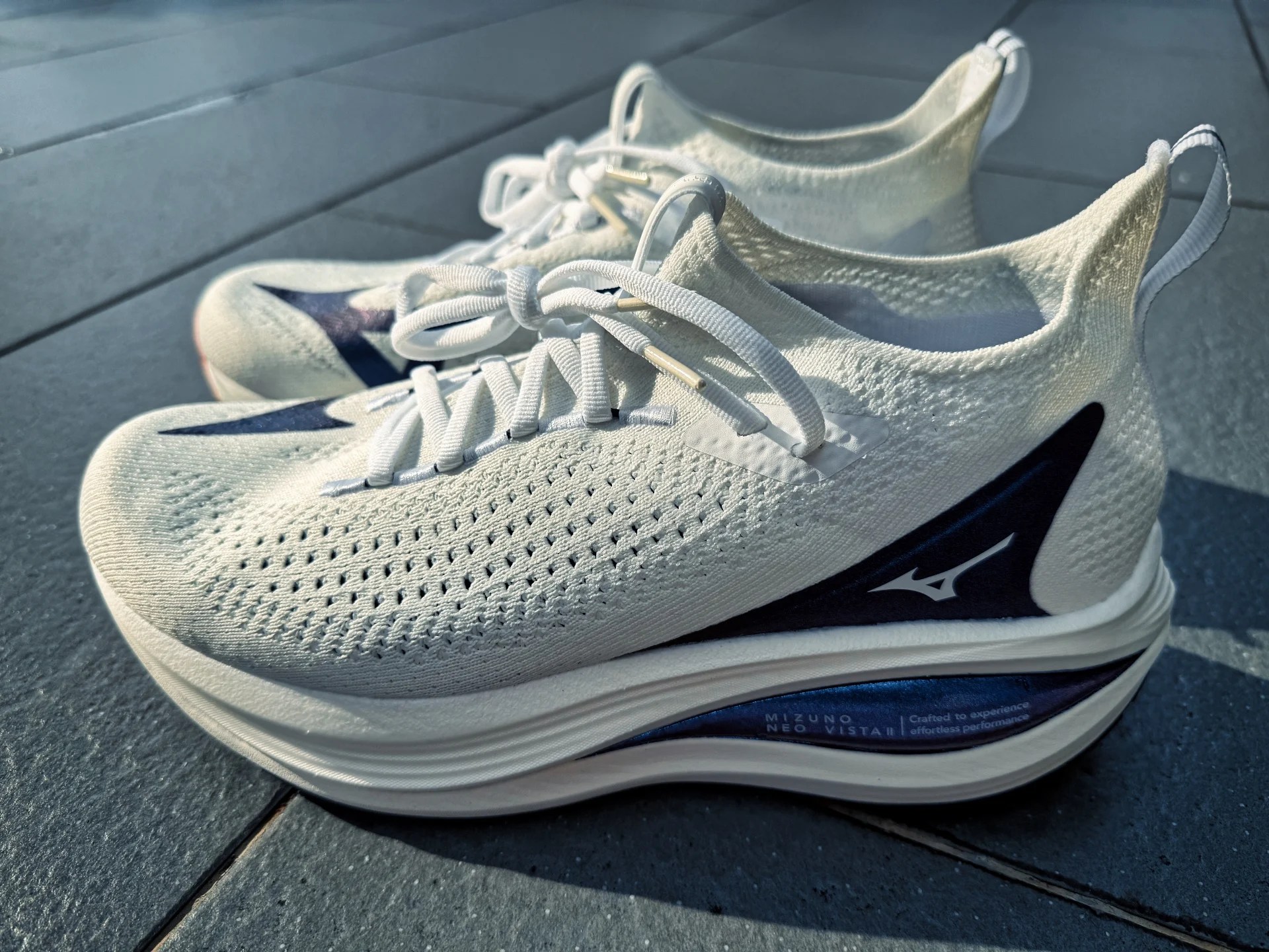 Revisión de Mizuno Neo Vista 2