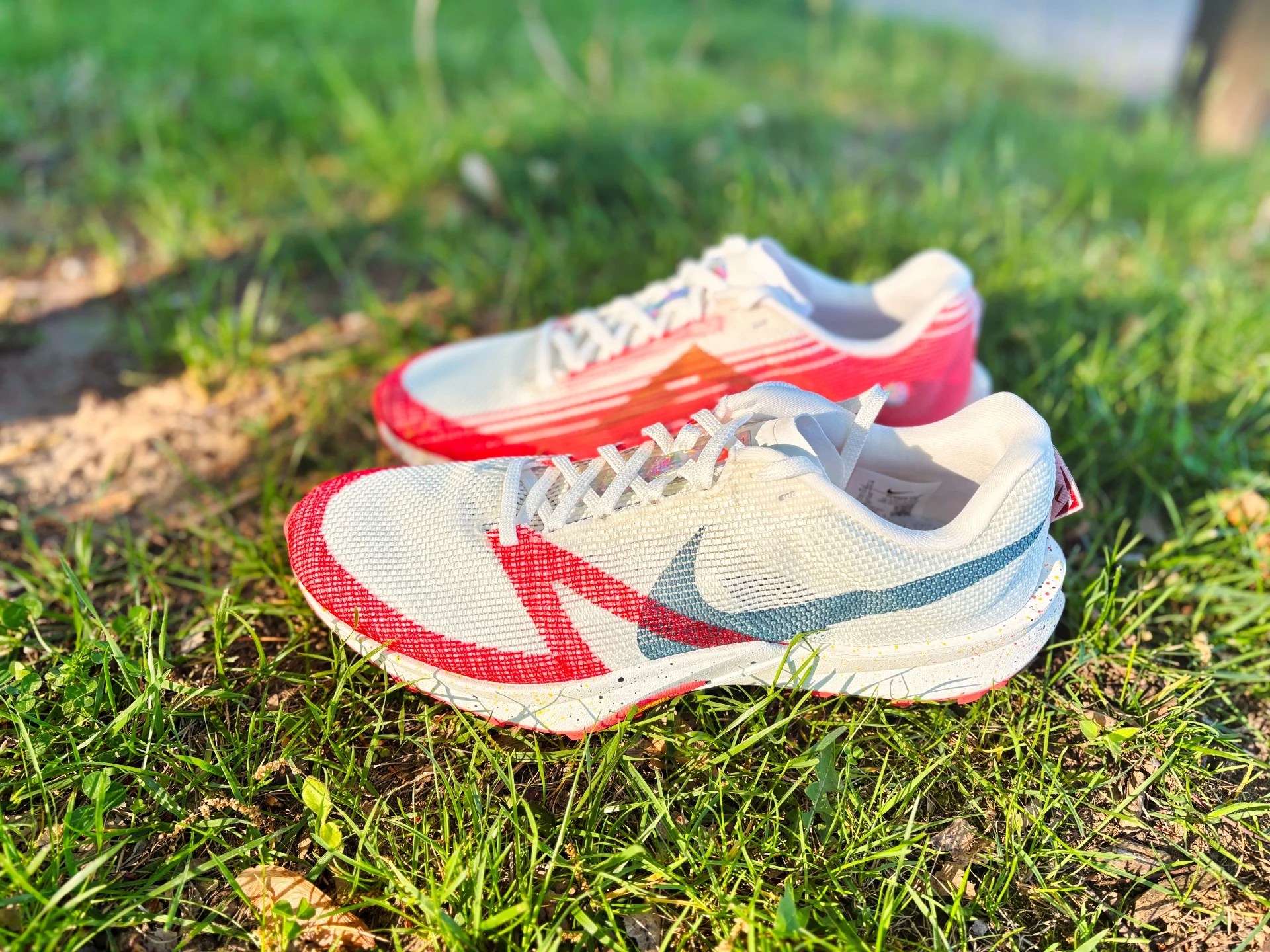 Revisión de Nike Terra Kiger 10