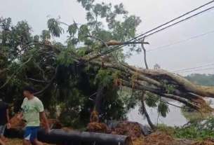 মাত্র তিন মিনিটের প্রলয় ঝড়ে লণ্ডভণ্ড রায়দিঘির দু’টি গ্রাম, চলছে ত্রাণ বিলি ও উদ্ধারকাজ