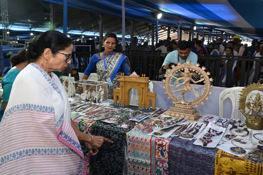 ৯ হাজারি শাড়ি কিনলেন মুখ্যমন্ত্রী, ‘স্বীকৃতি পেলাম’, আপ্লুত বর্ধমানের শিল্পীরা