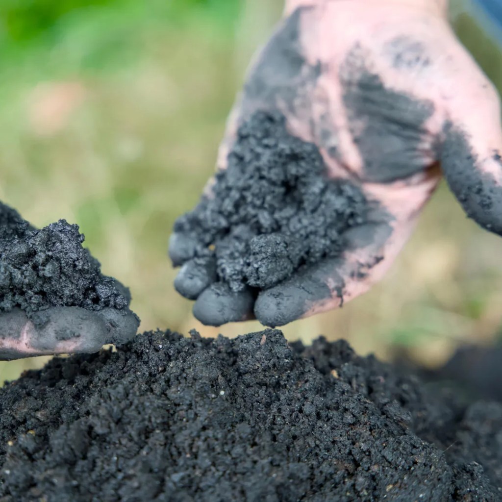 Biochar’s secret power could change clean water forever