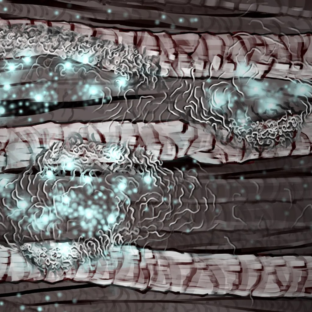 Harvard’s salt trick could turn billions of tons of hair into eco-friendly materials