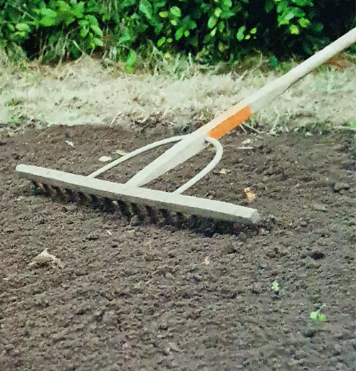 Sfaturi Privind Cresterea Si Ingrijirea Gazonului Cum Alegem Cel Mai Bun Amestec De Gazon Blog Ul Seminteplante Ro
