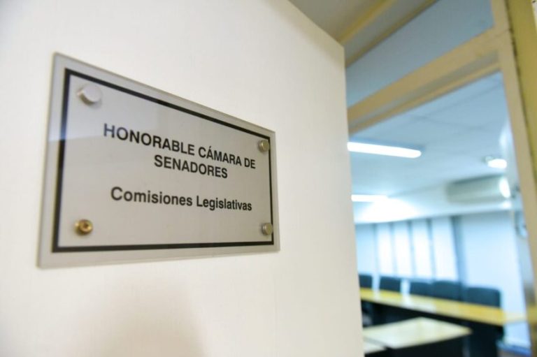 Senado: comisiones y llamado a sesión para esta semana