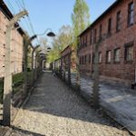 Arbeit Macht Frei... Il Lavoro Rende Liberi" (Un Pensiero Per Ricordare) - Sm Kolbe 150_x_150_jpg
