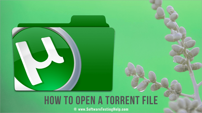 How To Open A Torrent File On Windows Mac Linux And Android