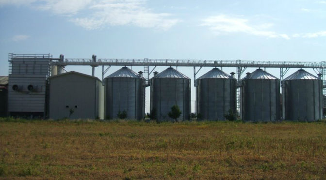 Agroindustria – Regione Piemonte. Pubblicato Nuovo Bando Psr Mis. 4.2.1 – Trasformazione E Commercializzazione Prodotti Agricoli | Sta Engineering 372_x_672_jpg