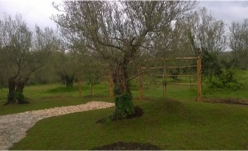 Giardini Benessere Agriturismo Alto Lazio - Restyling E Creazione Percorsi E Giardini Benessere - Stefano Mengoli - Architettura Organica E Del Paesaggio 214_x_352_jpg