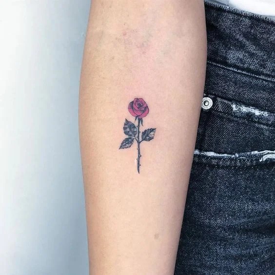 Small Rose Tattoos: 30+ Beautiful Tiny Rose Tattoo Ideas 564_x_564_jpg