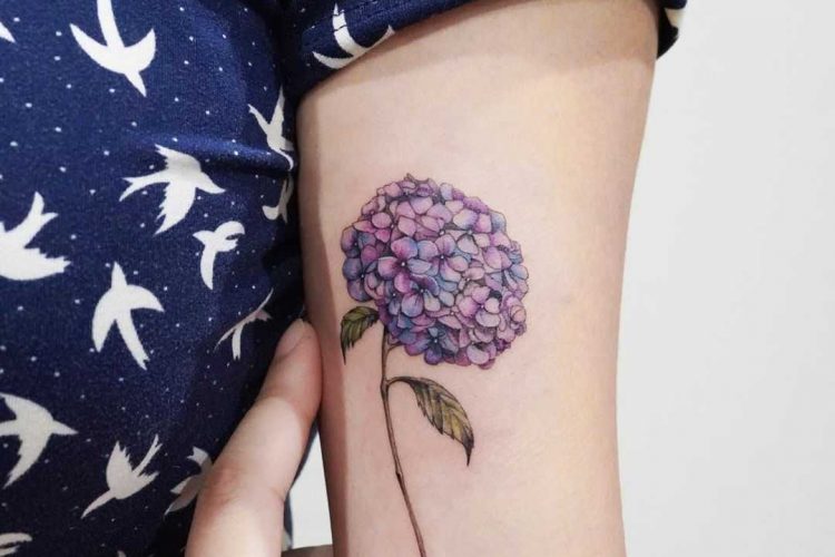 Hydrangea Tattoo: 60+ Beautiful Ideas And Their Meanings 500_x_750_jpg