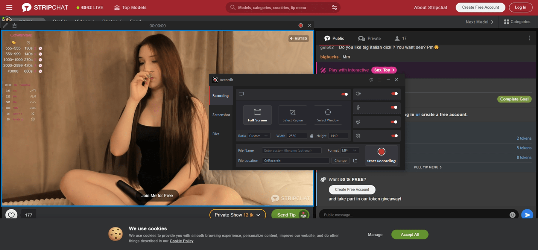 Stripchat录屏
