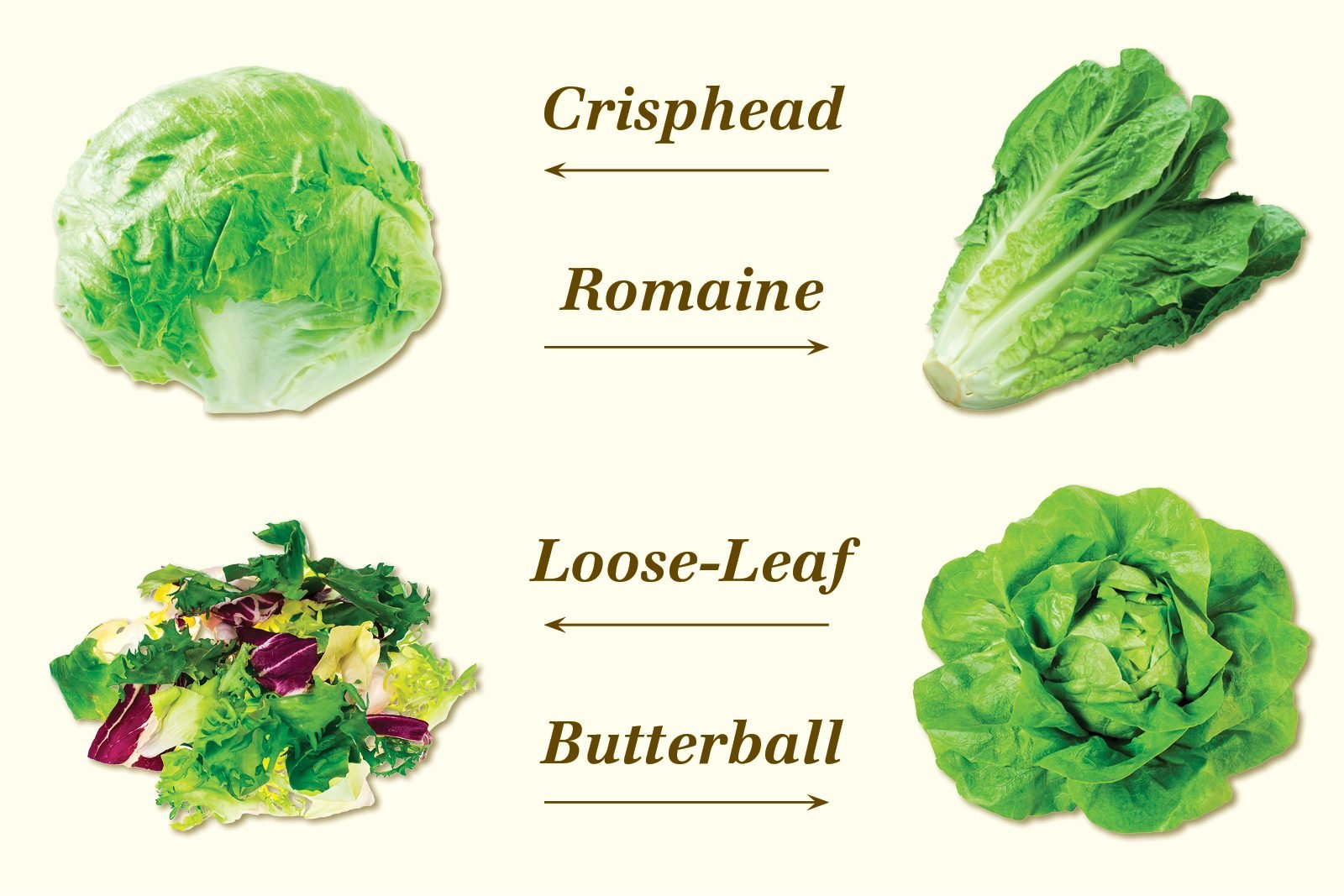 How to Make Salad Recipes, Tips and More Taste of Home jpg (1600x1067)