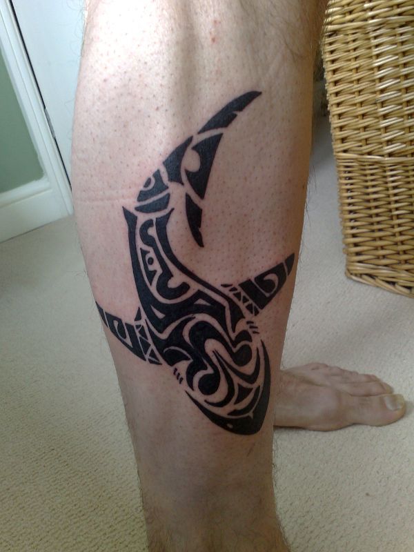 John - Maori Shark 800_x_600_jpg