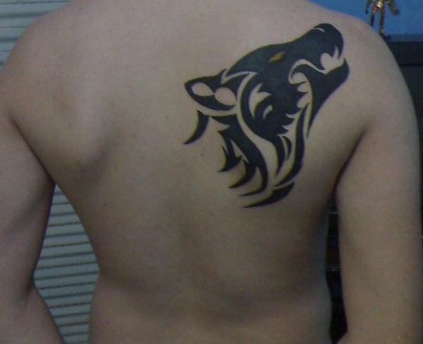 Jorge - Tribal Wolf 487_x_600_jpg