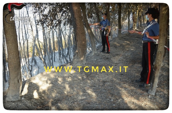 Ortona: Individuato L'autore Dell'incendio A Torre Pizzis, È Un Agricoltore - Telemax 471_x_719_jpg