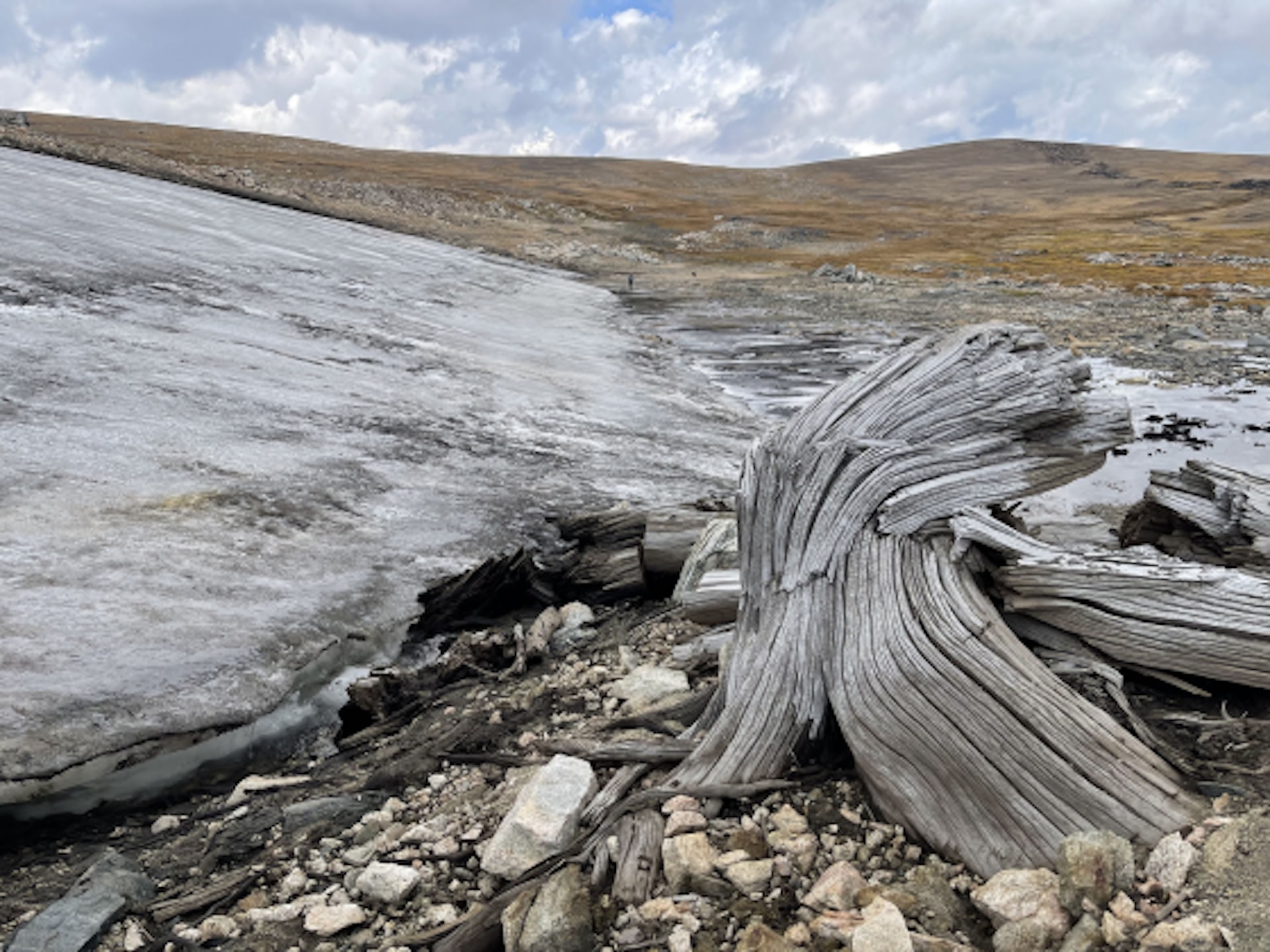 The researchers were amazed after they discovered 6000 years old under the Rocky Mountain ice: “We really surprised.” The researchers were amazed after they discovered 6000 years old under the Rocky Mountain ice: “We really surprised.”